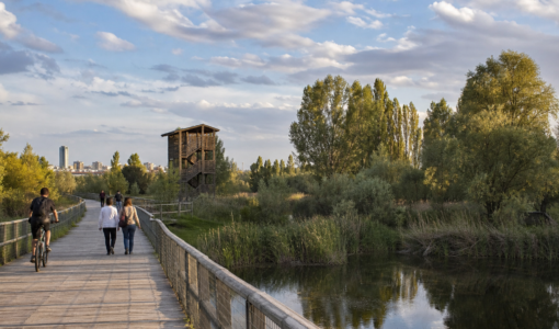 Vista editorial del lugar asociado a La Mitjana: ribera urbana y humedales del Segre